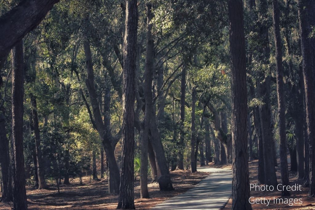 Riding bike on the trails is one of the best things to do in Hilton Head Island