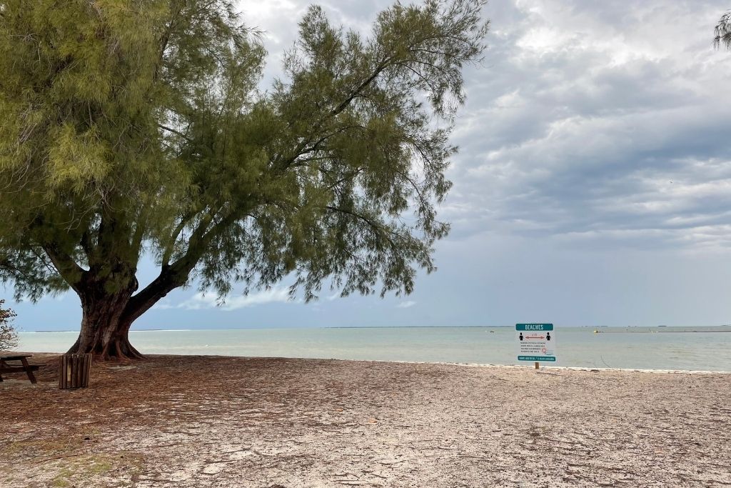Bayfront Park is a nice beach on the northern end of Anna Maria Island 