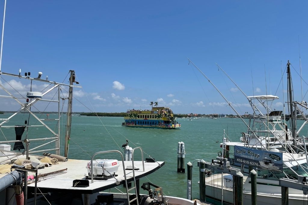 John's Pass offers chartered boat tours and fishing!