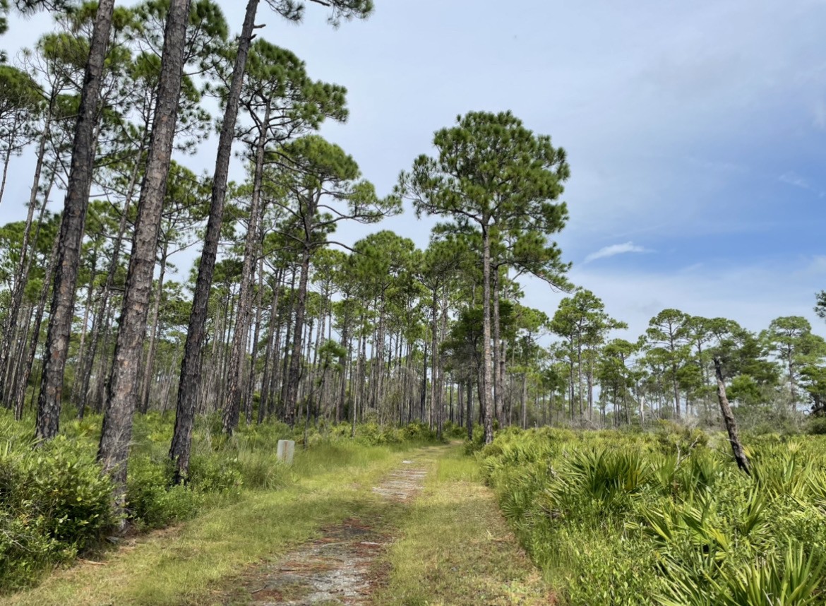 There are several state parks in northwest Florida and near Destin, Florida with lots of trails, activities, and beaches