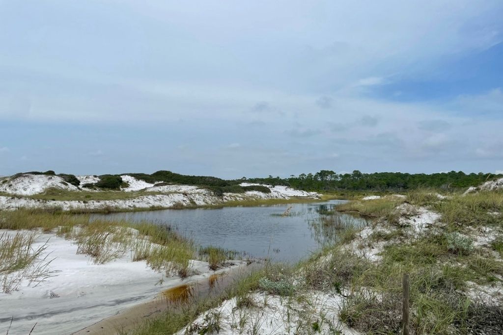 Topsail Hill State Park offers trails, a long stretch of beach, and has some amazing sand dunes!
