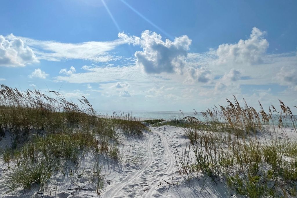 Gulf Islands National Seashore is a beautiful beach with bright white sands and is one of the best things to do when in Navarre Beach