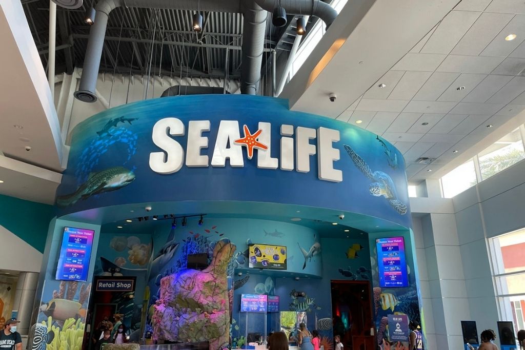 Sea LIfe Orlando is a famous attraction at Icon Park, popular with both kids and adults