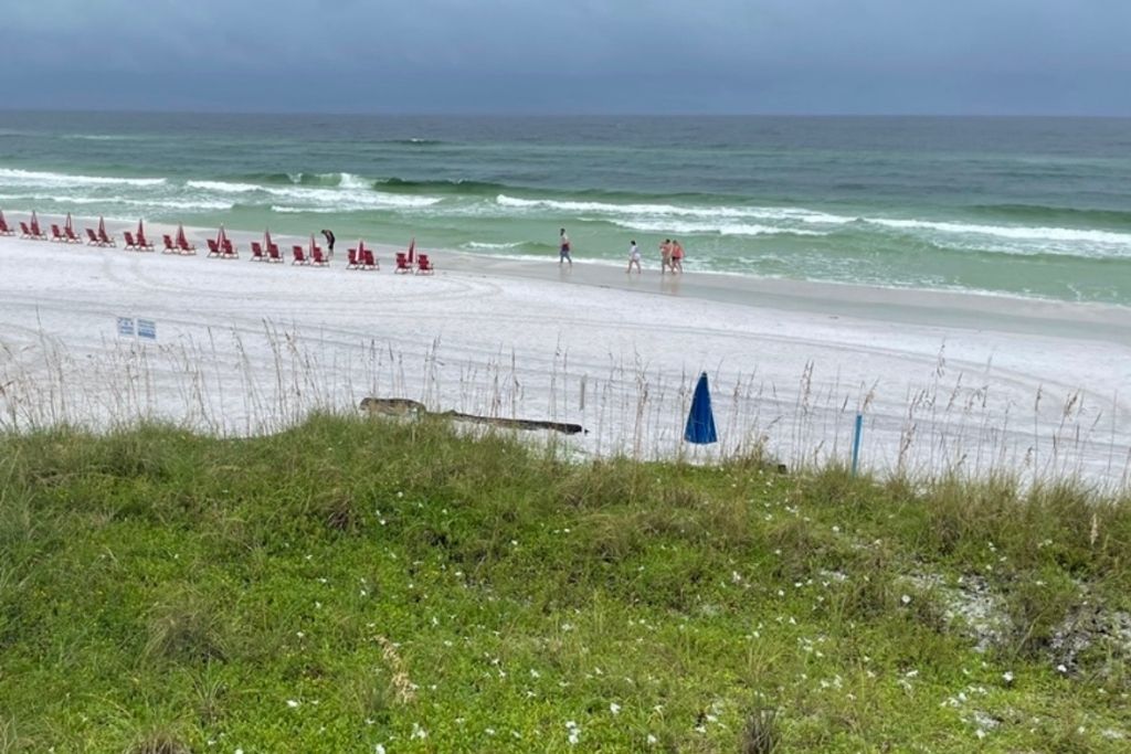 Miramar Beach is one of the most popular beaches in the Florida Panhandle and is home to restaurants such as Pompano Joe's