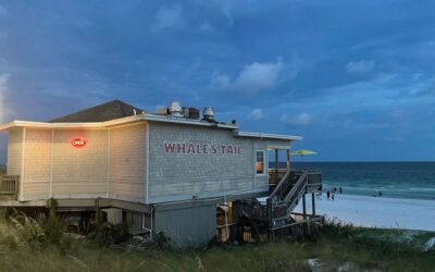 15 Awesome Miramar Beach Restaurants To Try!