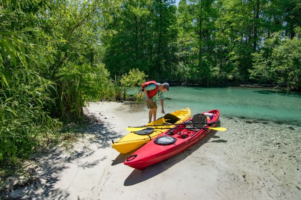 Kayaking is a popular activity in Florida with its diverse marine life including manatees