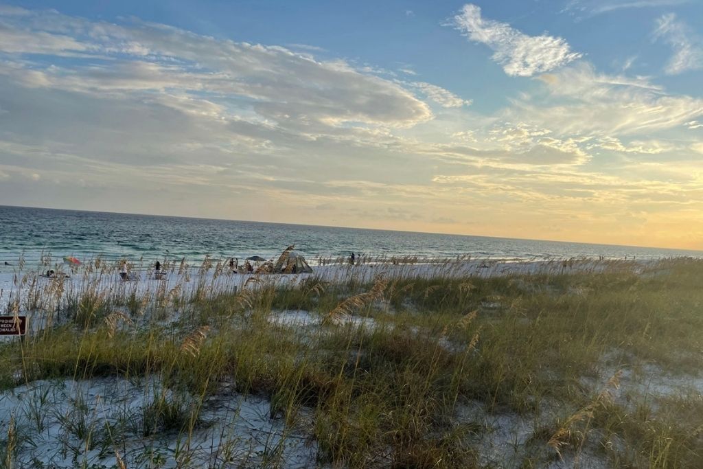 Henderson Beach State Park is one of the best beaches in the Florida Panhandle and has super clear water