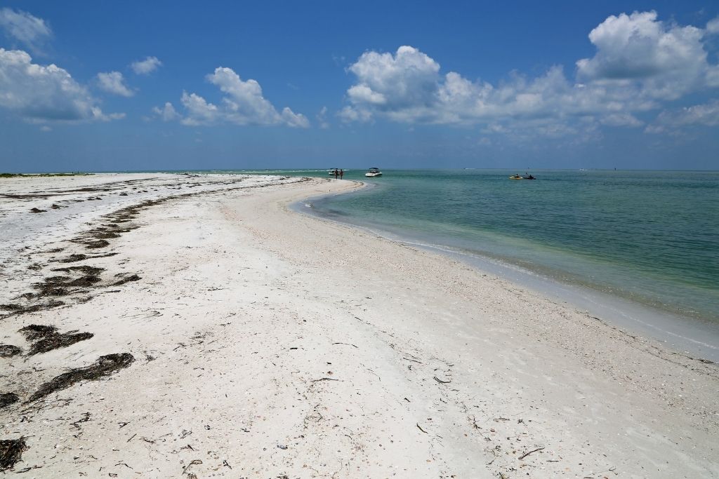 Located just north of Clearwater Beach, Caladesi Island is a great area if you're looking for a low key spot to explore
