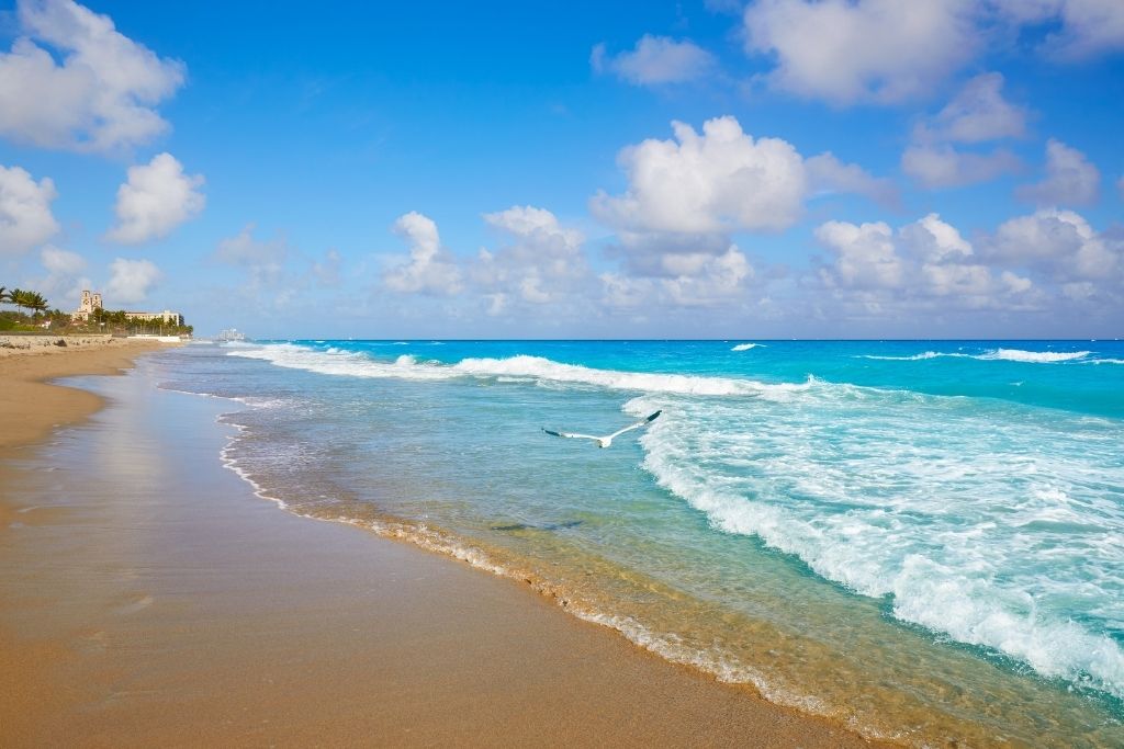 Palm Beach is known for its ritzy estates, clean sands and clear waters