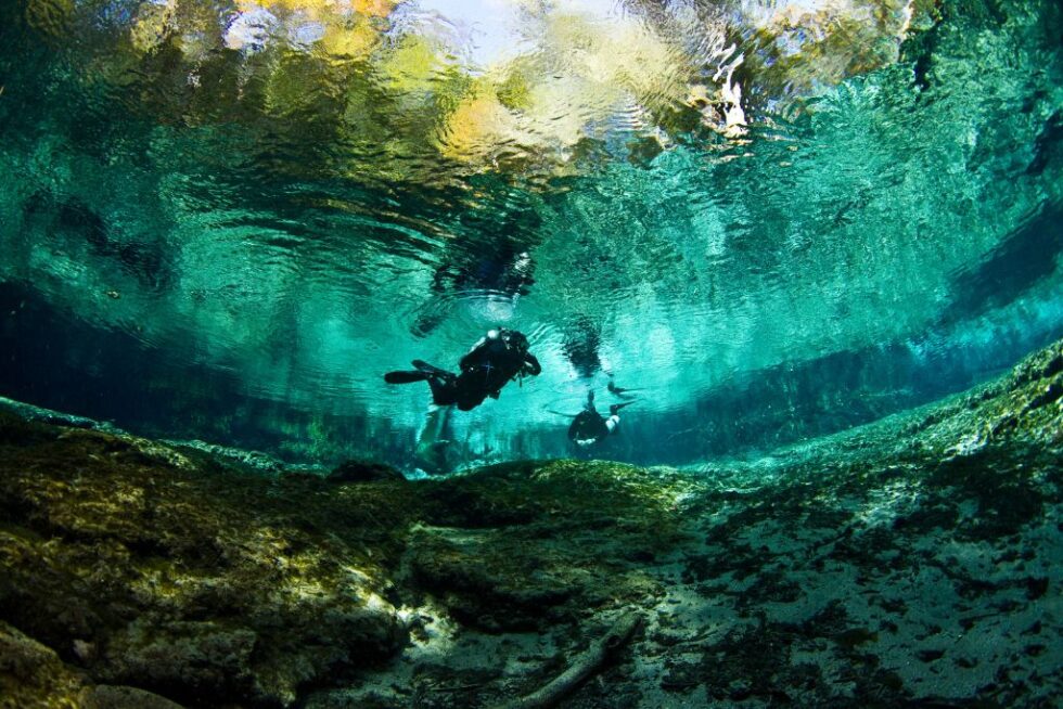 Jennie Spring Discover Ginnie Springs, Florida- The Complete Visitor's Guide ...