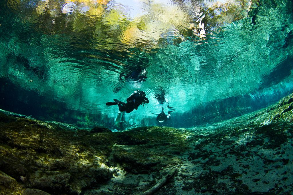 If you're looking to explore the beautiful waters in Ginnie Springs, try scuba diving!