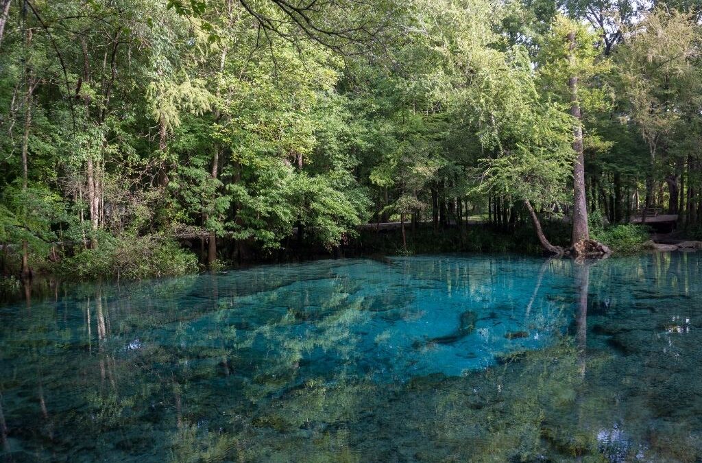 Ginnie Springs is a beautiful park to visit and a great way to explore Florida's natural wonders