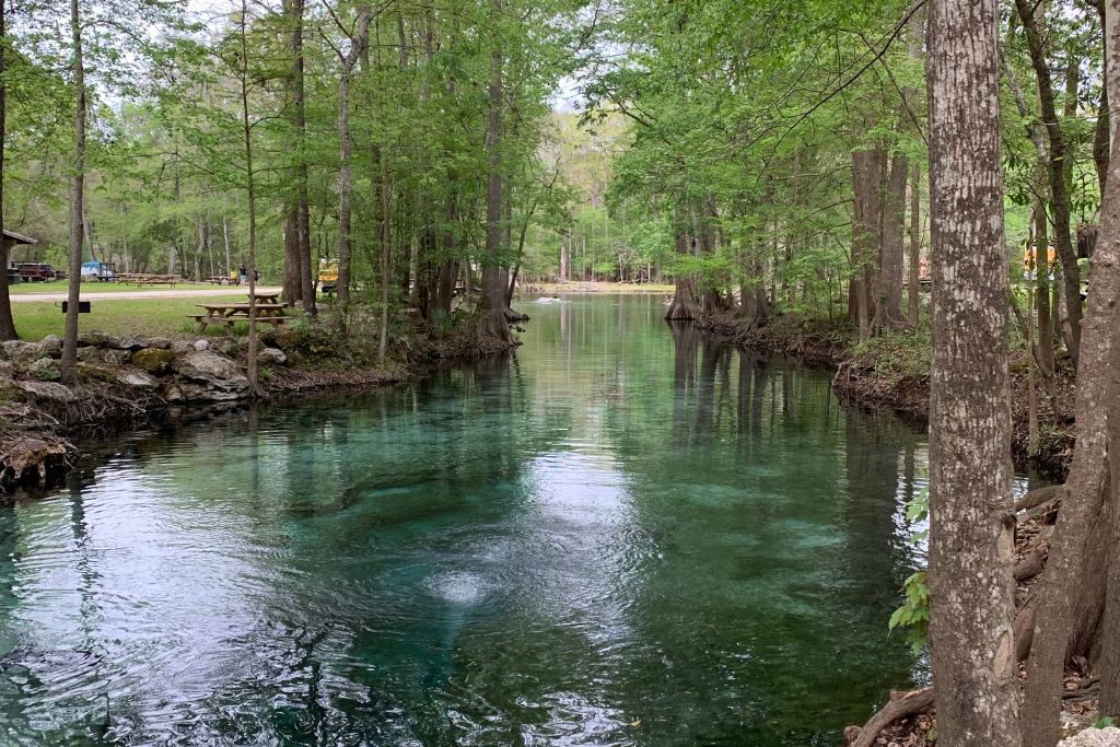 Ginnie Springs is a great place to visit for hiking, swimming, diving, and other water activities