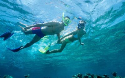 Snorkeling In Fort Lauderdale, Florida- 5 Amazing Spots!