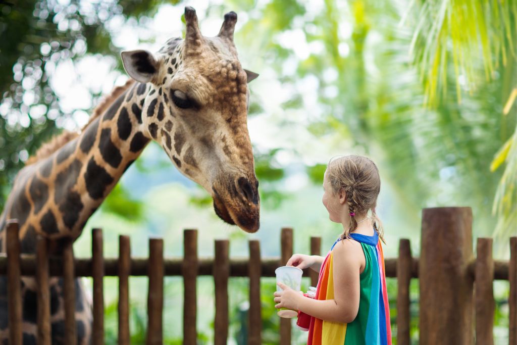 For a family friendly day, visit the Tampa Zoo while in Clearwater Beach