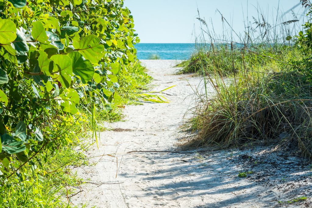 Bean Point is one of the best and most secluded beaches in Southwest Florida!