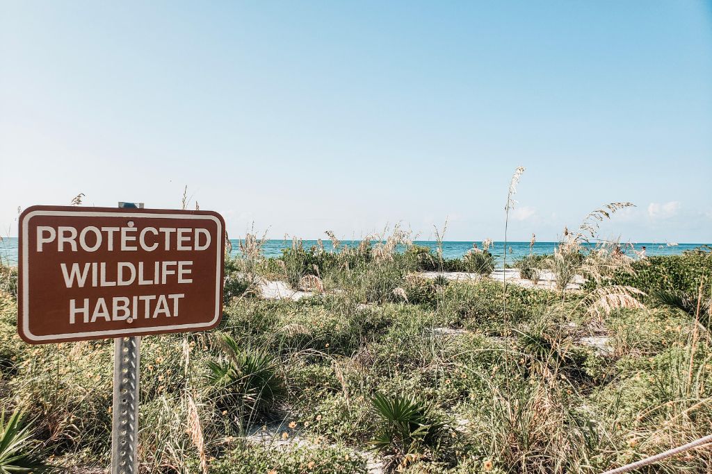 Sanibel and Captiva are one of the Gulf Coast of Florida’s best-kept secrets and it’s also where you can find some of the best beaches in Southwest Florida. 