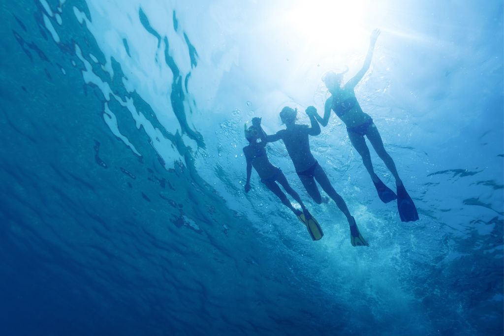 There are many great options for snorkeling tours in Fort Lauderdale and Lauderdale by the Sea. 