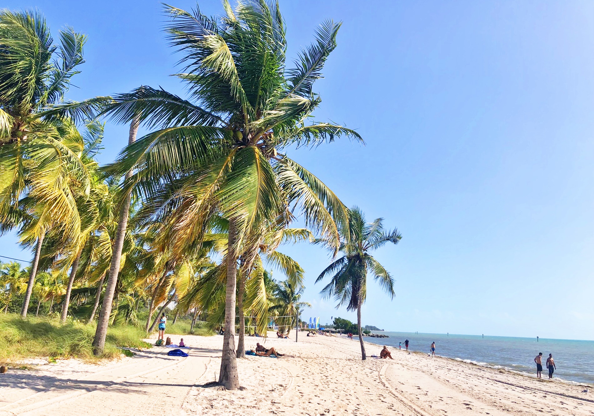 Smathers Beach in Key West is one of the best beaches to explore in South Florida!
