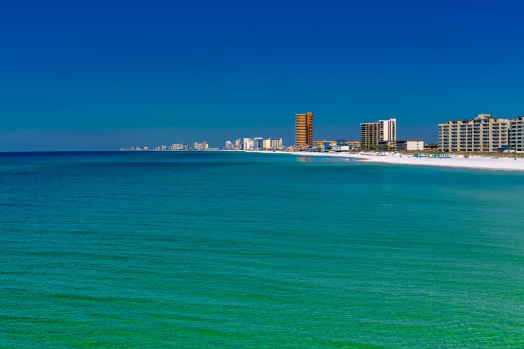 See the beautiful views of Panama City Beach as you go sightseeing on a catamaran dolphin cruise