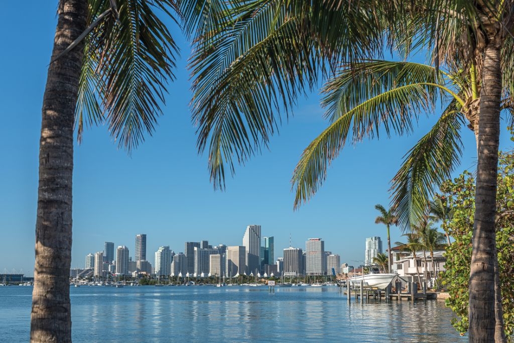 Miami, Florida is a great spot for fishing charters and deep sea fishing and there are a variety of species to catch in the area's beautiful waters