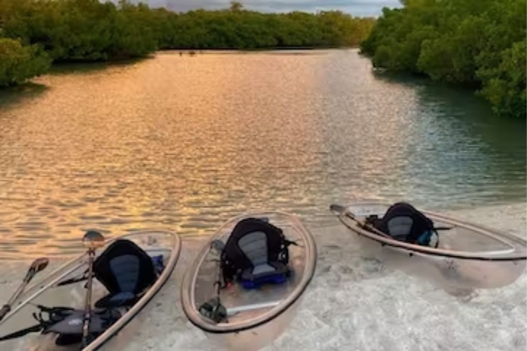 Hop aboard a clear tandem kayak for this two-hour tour, where you’ll have an experienced guide to lead you through beautiful mangrove forests and tunnels.