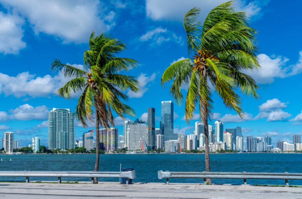 Miami is a perfect location for outdoor activities including water adventures and lots more