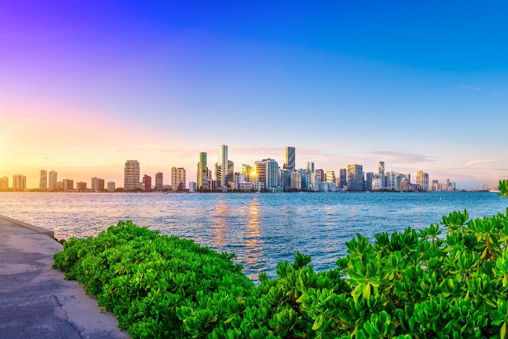 Don’t miss any highlights during your time in Miami. If you have a day for exploration in<br />
Miami, this 8-hour tour will get you to the top sights of the city<br />
