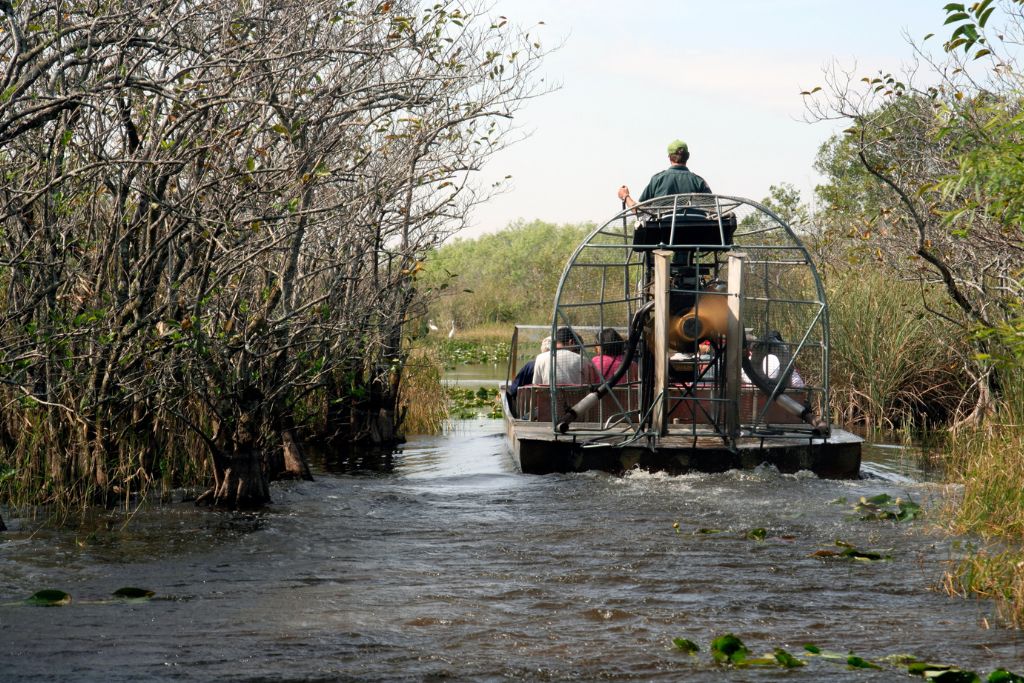 Combine two distinct adventures on this combination tour of Everglades National Park.<br />
Start with a guided nature walk in the park where you can see a variety of birds and wild<br />
alligators.<br />
