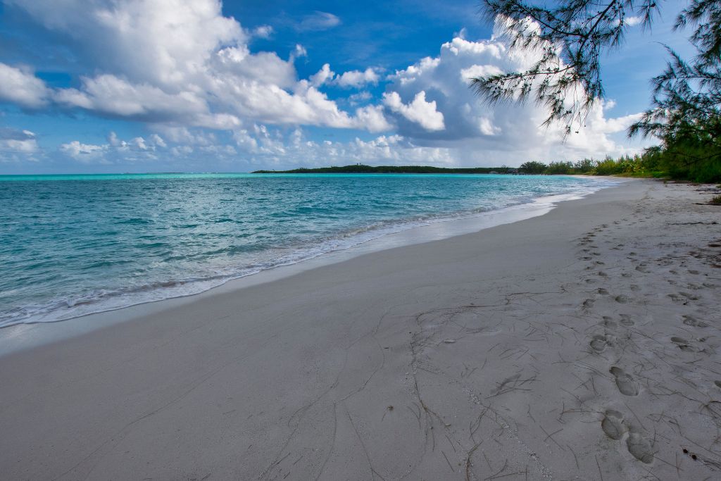 Hoopers Bay is the beach to visit if you love swimming with sea turtles. 