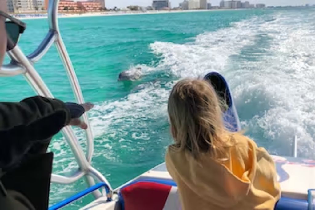 This Crab Island tour is different from the rest, as you’ll take a small speedboat out into the Florida waters in search of some of the native dolphins.