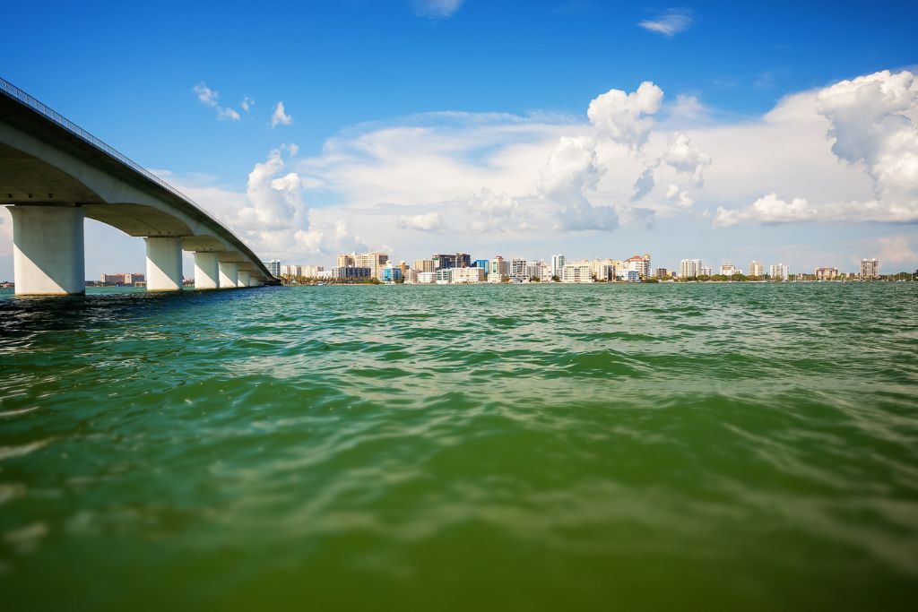 Explore the beauties of Sarasota Bay on your very own private charter.  This tour will take you into the crystalline waters of paradise on a Sylvan Tritoon boat. 