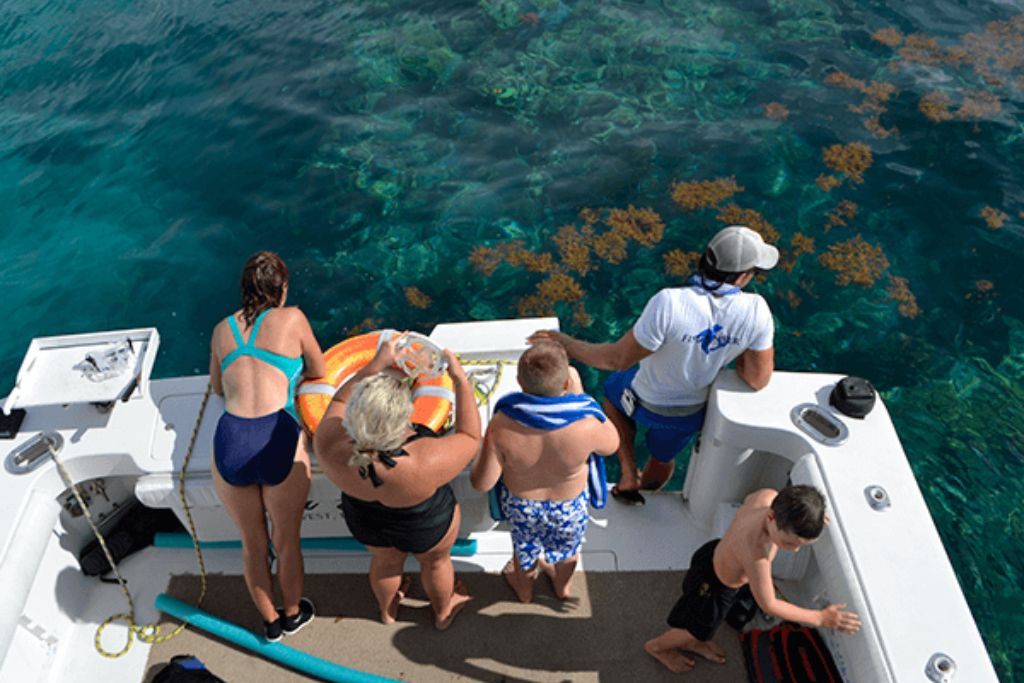 On this Key West snorkeling tour, you’ll get to experience the water with a smaller group and avoid the crowds.