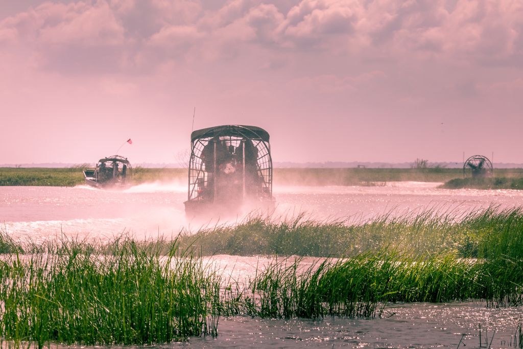 Take an airboat tour through the Everglades. It’s perfect for sightseeing and nature-sightings.