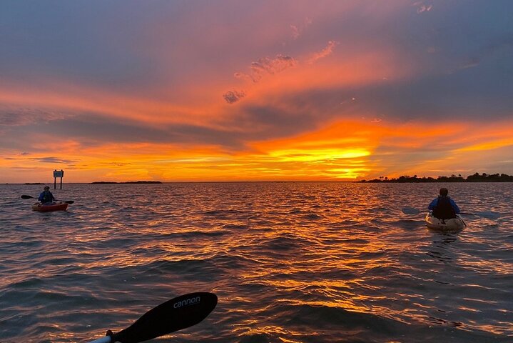 Spend an afternoon paddling on the Indian River Lagoon on this one and a half hour sunset kayaking tour.