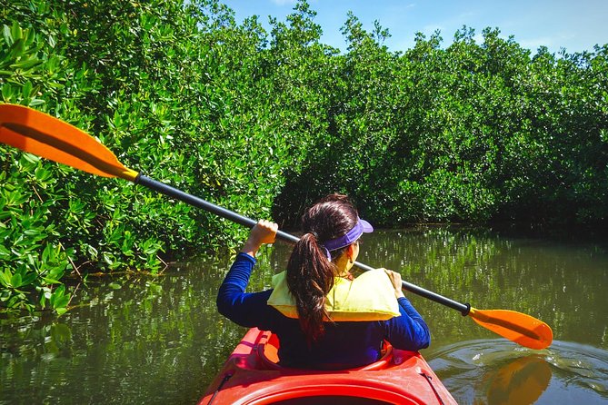 The Fort Lauderdale Tropical Kayak Tour and Island Adventure. With a private guide leading the way, you'll explore the hidden gems of Wilton Manors—a scenic and secluded area beloved by locals.