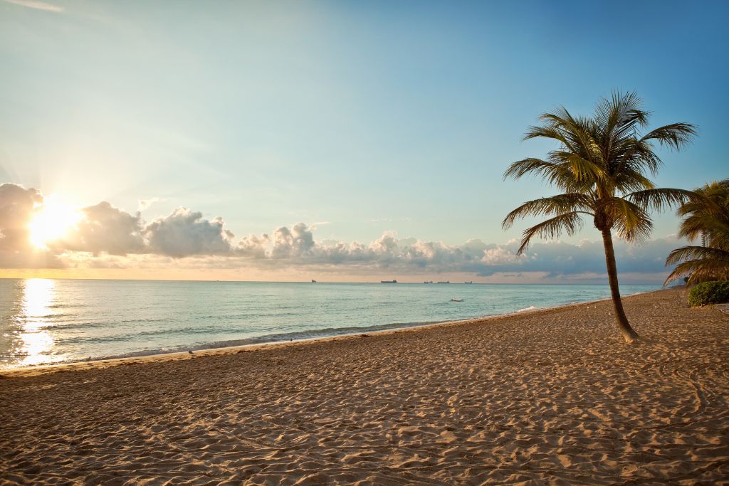 If you're looking for a more laid-back, relaxing day at the beach, you may want to head to Ft. Lauderdale.