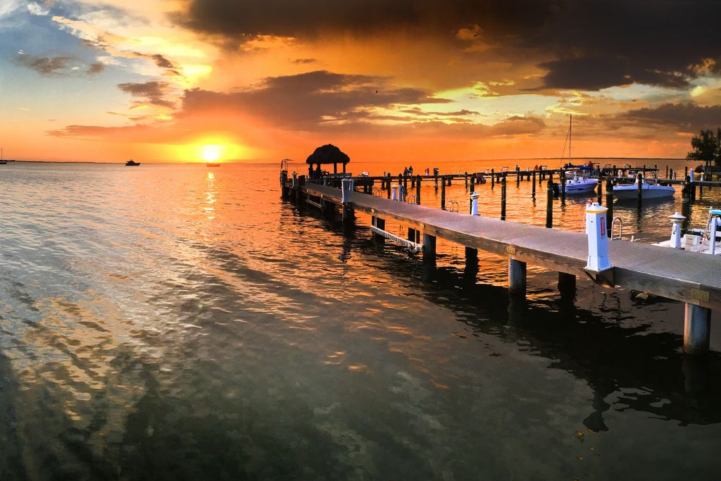 There are a few places that are recommended as the best places to take a boat tour in Key Largo.