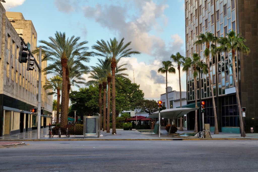 Known as the "Fifth Avenue of the South," the Lincoln Road Mall is a hot spot for restaurants, high-end shops, galleries, culture venues, Starbucks, cafés, restaurants, and more.
