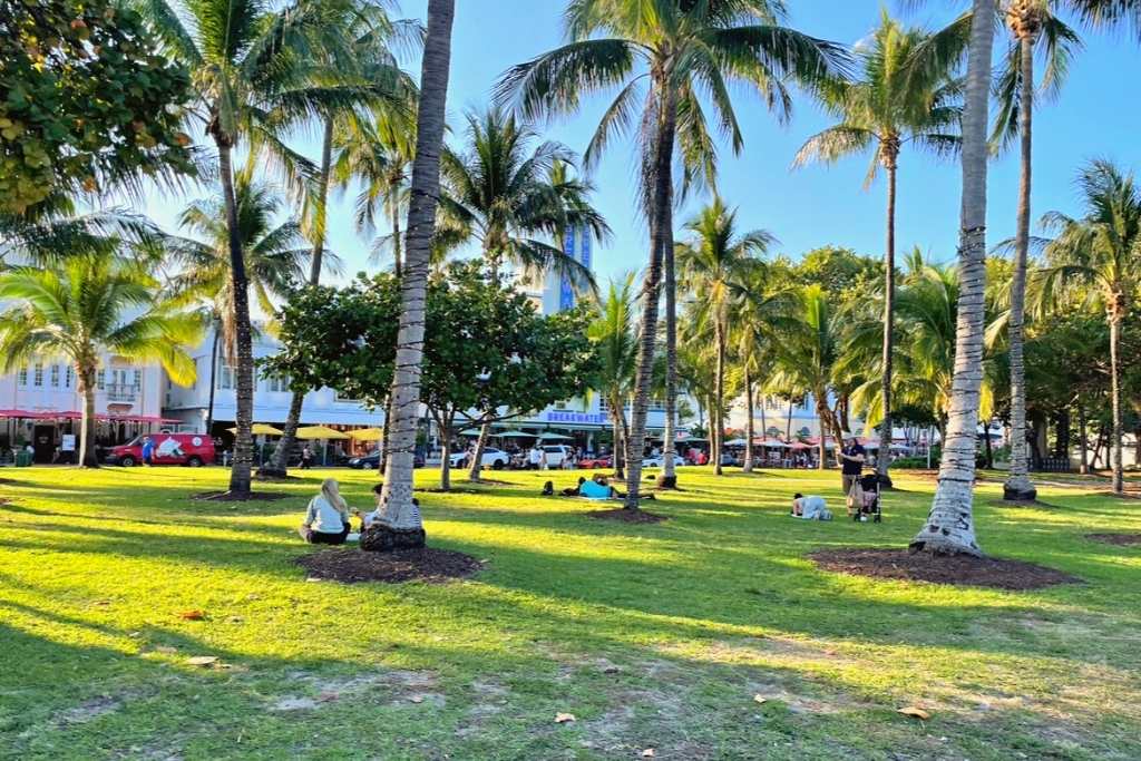 At Lummus park, you'll find playgrounds, pavilions, volleyball courts, walking trails, a beachfront, and two outdoor fitness gyms.