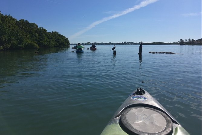 Kayaking is an excellent way to explore Florida's unique ecosystem and enjoy the tranquility of nature! 