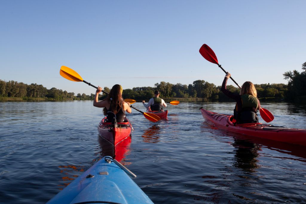 Enter the tranquil vibrant world of a mangrove forest in Sarasota, paddle to a secret beach, sight marine life, birds, fish, and crabs, and immerse yourself in nature.