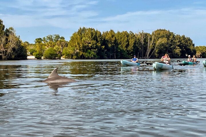 On this Cocoa Beach dolphin cruise, you will explore the calm waterways and abundant wildlife of the Indian River and Mosquito Lagoon.