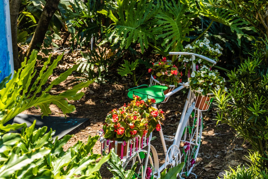 A bunch of plants and a bike with flowers in Busch Gardens in Florida.