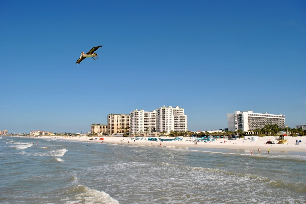 Landscape view of the clearwater beach in Florida.