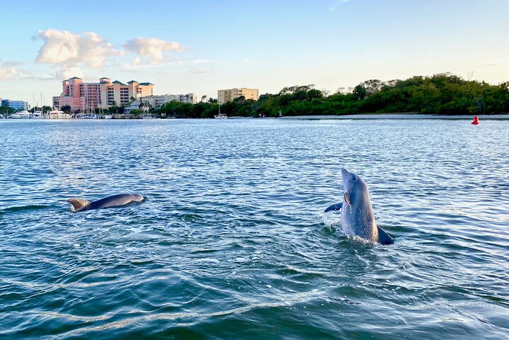 This private excursion is the perfect way to take in the stunning waterways of Fort Myers Beach while keeping your eyes peeled for local wildlife—especially the playful dolphins.