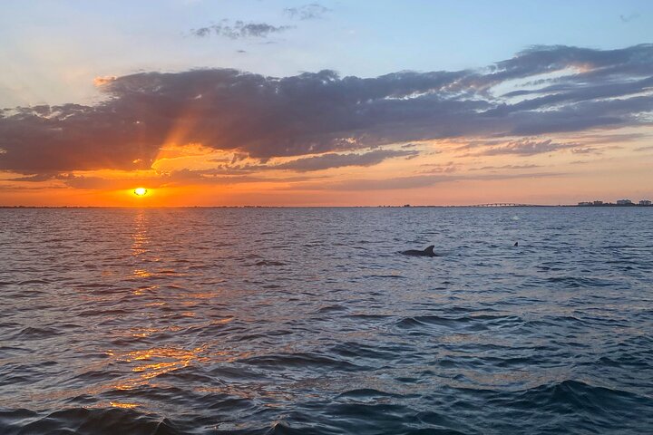 The private tiki boat Sunset and Dolphin Cruise in Fort Myers Beach is the perfect way to soak up the beauty of the Gulf of Mexico