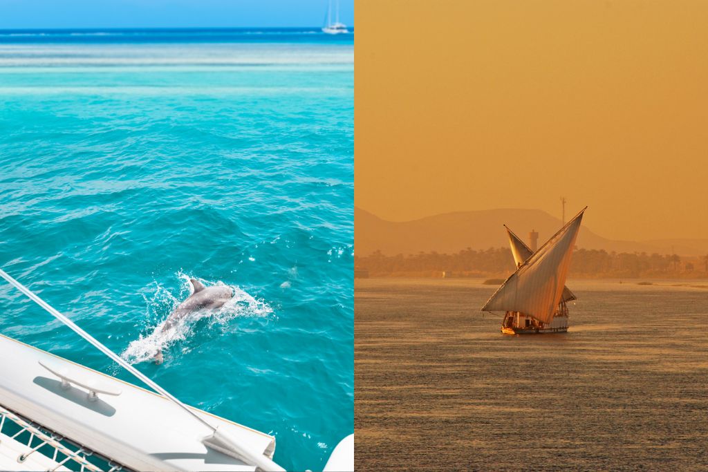 Go on a dolphin cruise in Destin or a Sunset Sail cruise in Panama City Beach