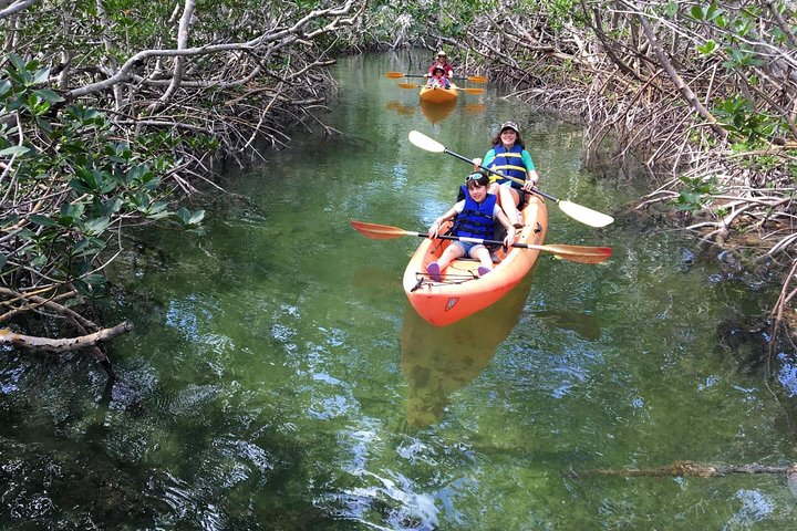 With these kayak rentals, you'll be able to combine two of the best features of the Florida coast; mangroves and manatees.