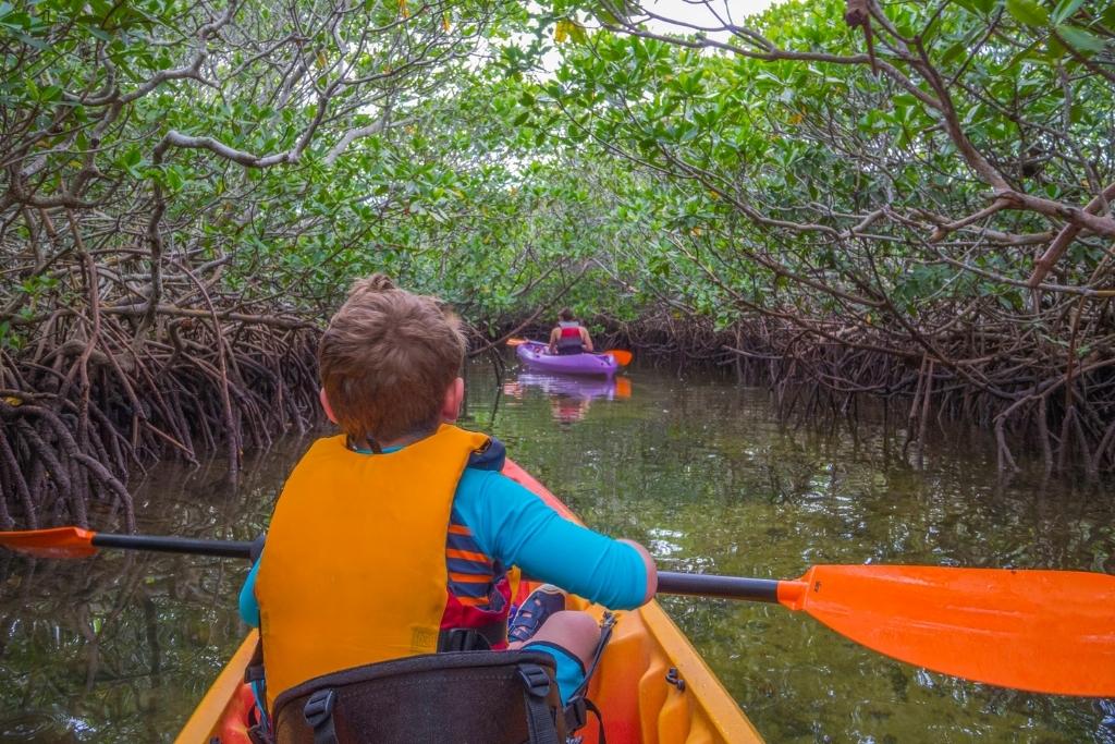 Rear view of a child on a kayak along the mangrove tunnels of Florida Keys